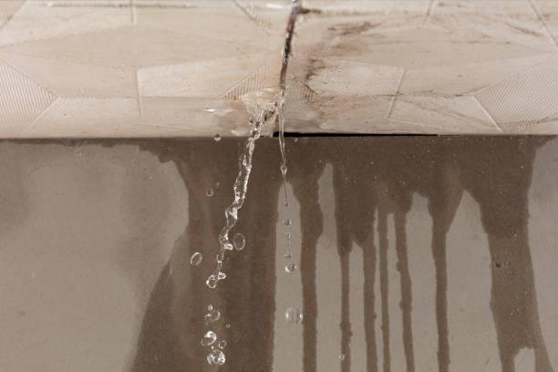 Professional Water Damage Repair technician working in Mentone, AL